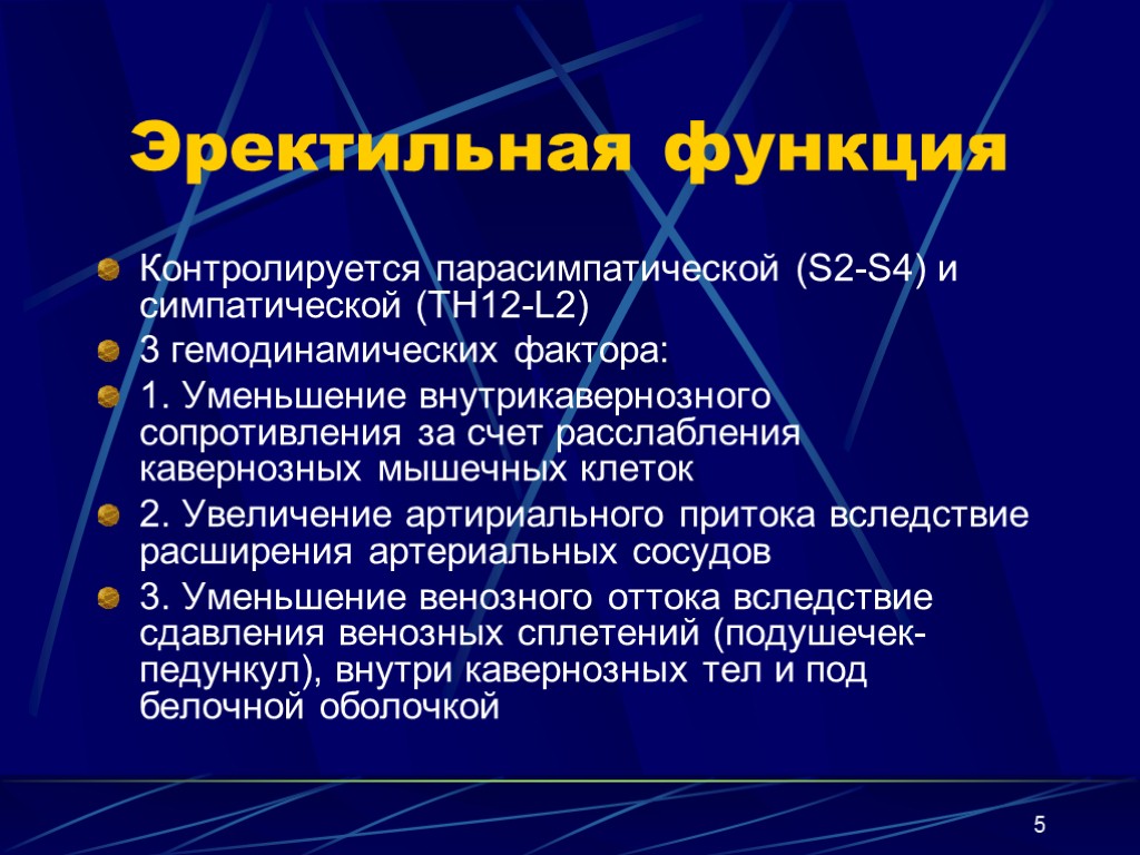 5 Эректильная функция Контролируется парасимпатической (S2-S4) и симпатической (TH12-L2) 3 гемодинамических фактора: 1. Уменьшение